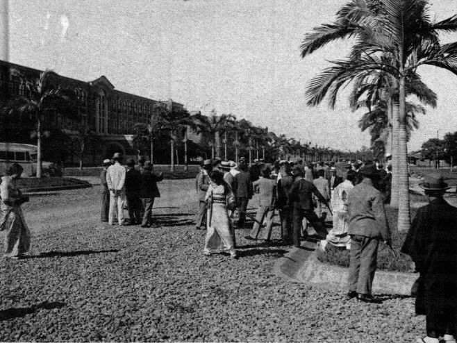 台北帝大時代の椰林大道